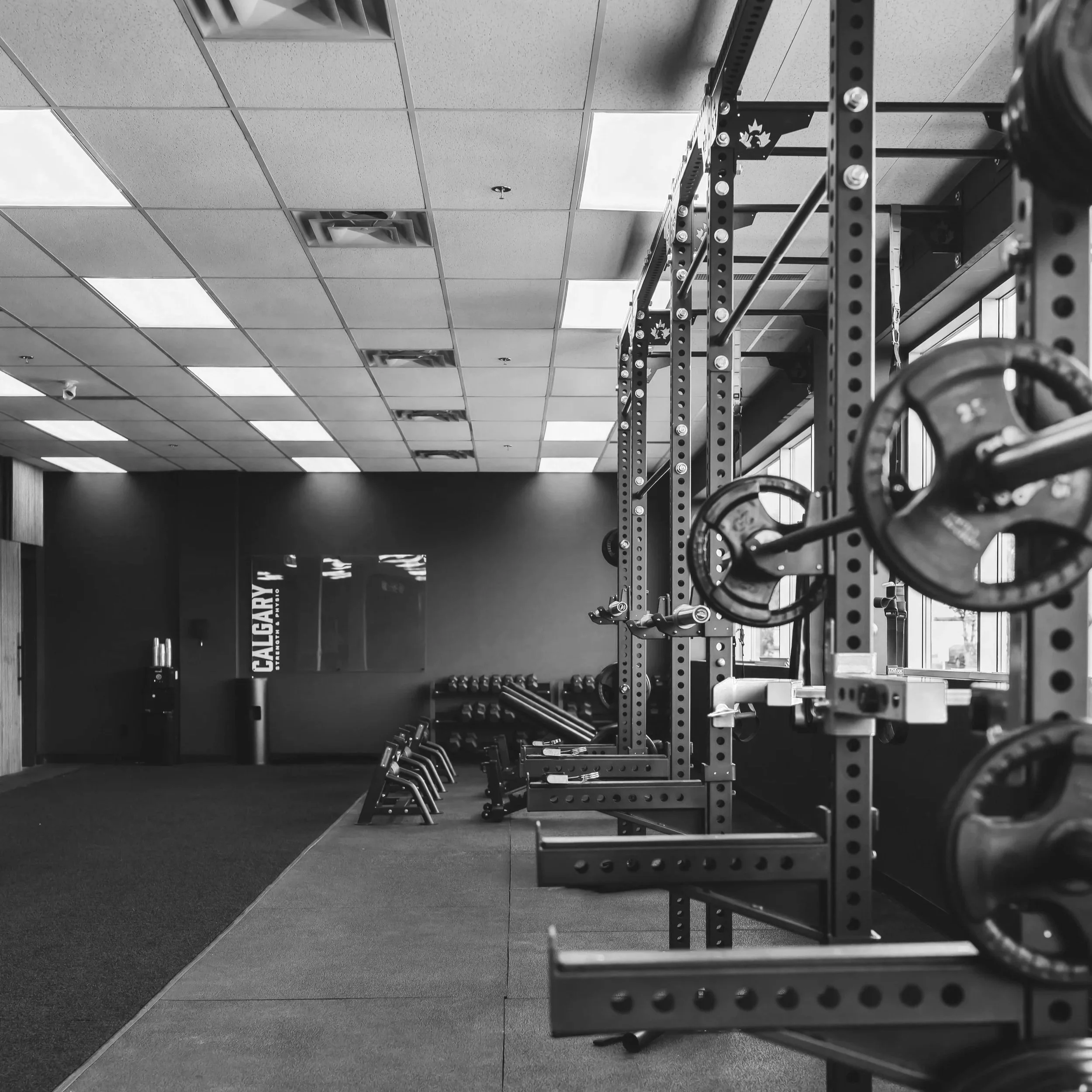 Squat racks and platforms